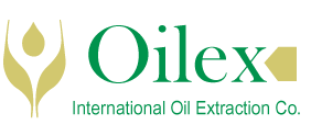 logo-2.png